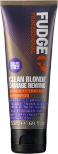Fudge Clean Blonde Damage Rewind Violet Toning Zilvershampoo 50 ml - Zilvershampoo vrouwen - Voor