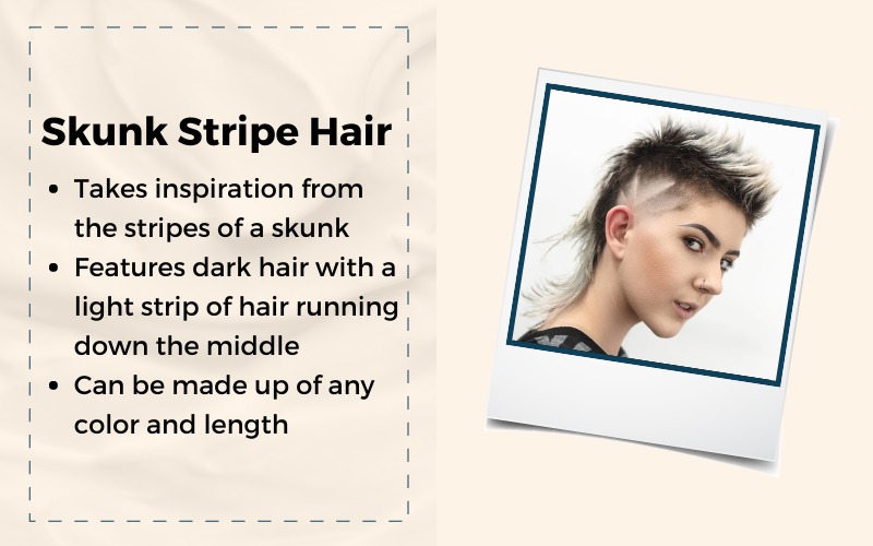 Afbeelding met de titel Skunk Stripe Hair die de belangrijkste kenmerken van deze stijl benadrukt en een voorbeeld aan de rechterkant.
