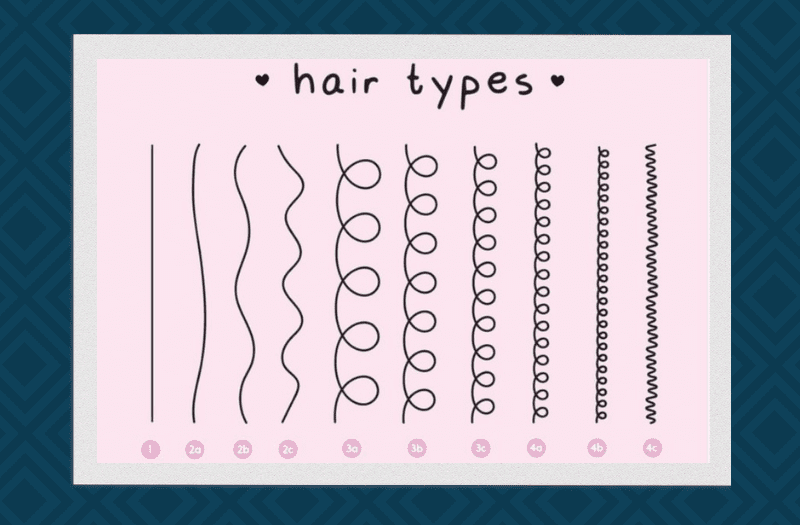 Voor een stuk over de beste haarborstels, een aantal haartypes opgesomd in grafische vorm binnen een kader