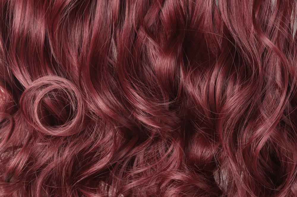 Merlot Red pruim bordeaux haarkleur in een close-up beeld