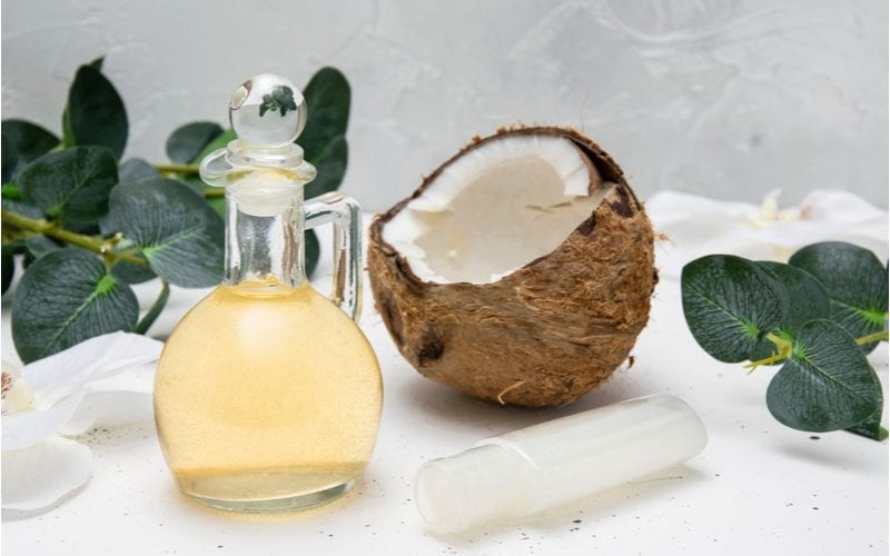 Afbeelding van Kokosolie (het beste voor het haar) zittend op een plat beeld met bladeren en graniet op de achtergrond