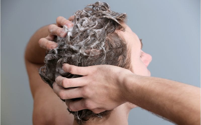 Studiobeeld van een man die van de camera wegkijkt en haargroeishampoo in zijn haar smeert terwijl hij de achterkant van zijn hoofd vasthoudt.