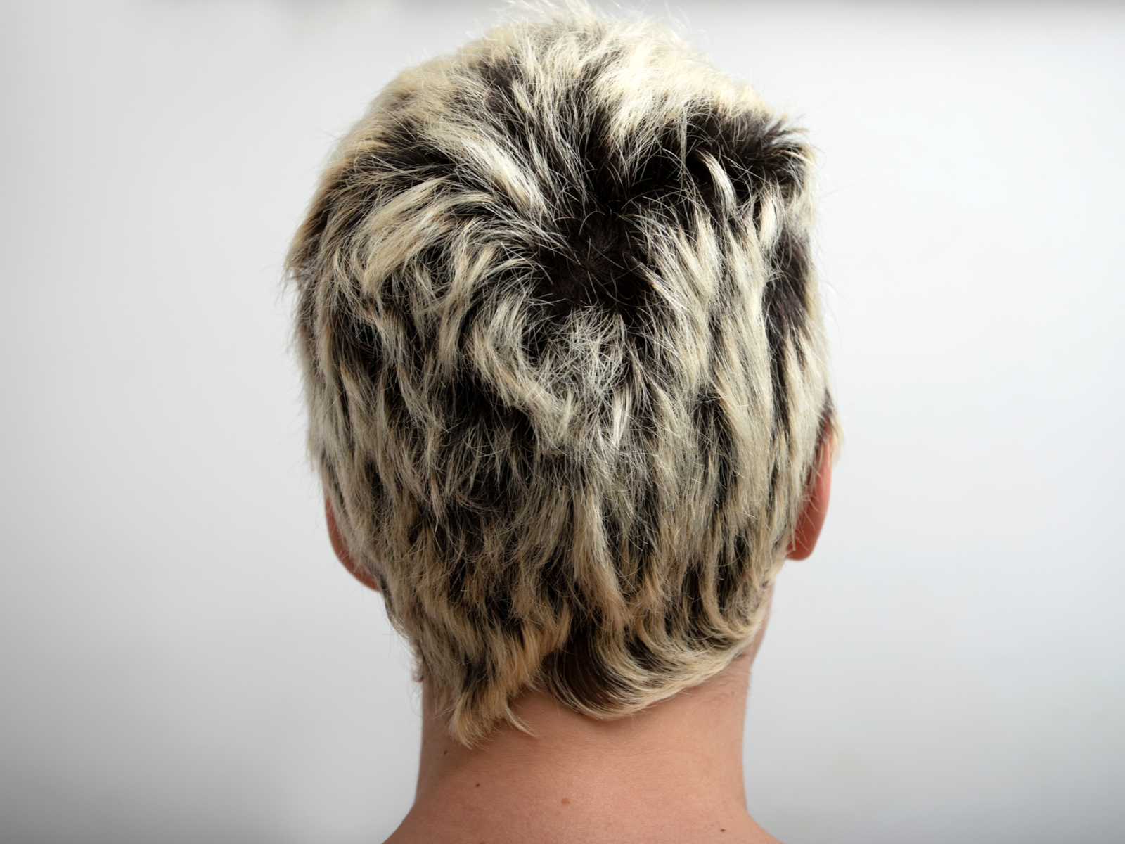 90s-Inspired Short Frosted Tips kapsel