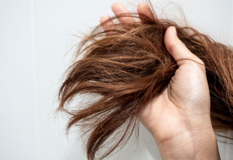 Hand die een groep haar met schade vasthoudt voor een stuk over hoe te vertellen of je haarschade hebt