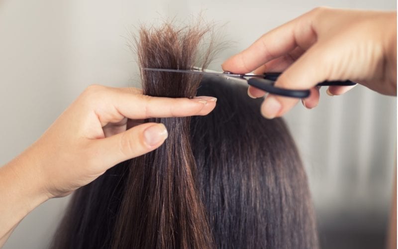 Vrouw krijgt haar fijne haar getrimd door een kapper