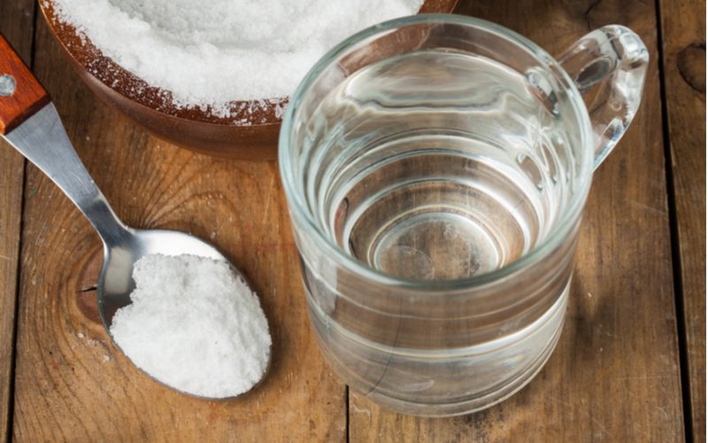 Afbeelding voor een stuk over hoe je haar oplicht zonder bleekmiddel met een lepel zout en een kop water