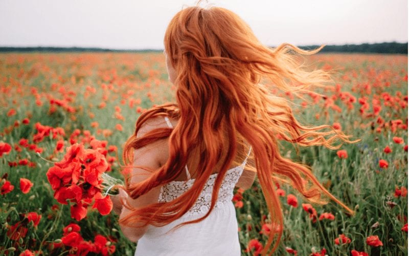 Dame in een veld van rode bloemen met lang koperrood haar stromend in de wind