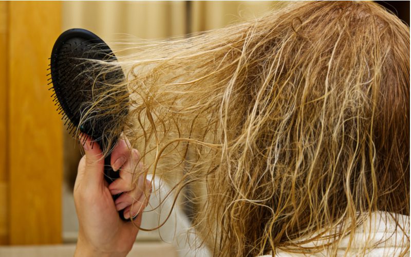 Beste shampoo voor verward haar waaraan met een zwarte borstel wordt getrokken