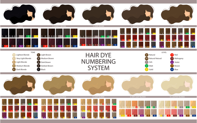 Haarverf nummering systeem met vele tinten van bordeaux kleur haarverf