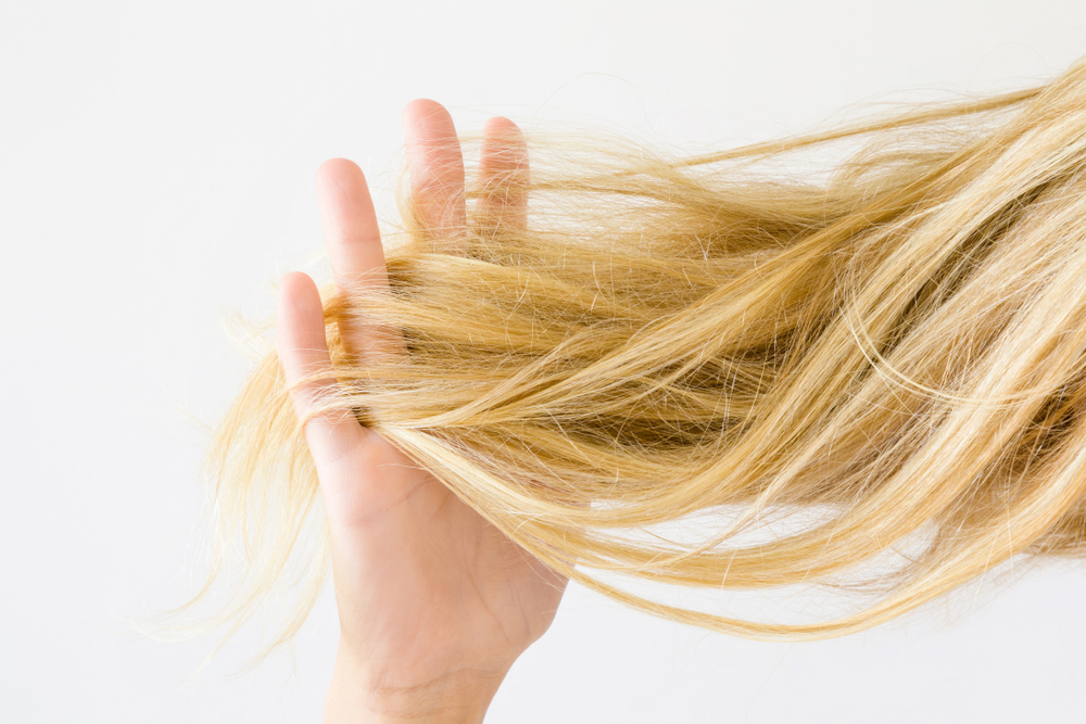 Voor een post getiteld Hoe lang Toner op bont haar laten zitten, trekt een vrouw met blond haar en beschadigde haarschubben aan haar haar met haar vingers