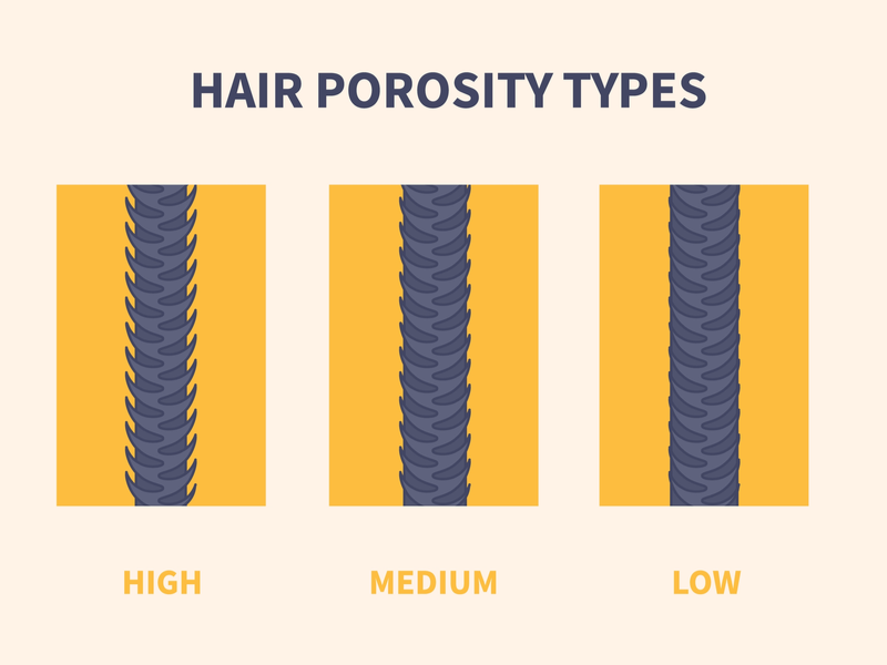Haar porositeit grafiek voor een stuk over of keratine goed is voor laag porositeit haar of niet