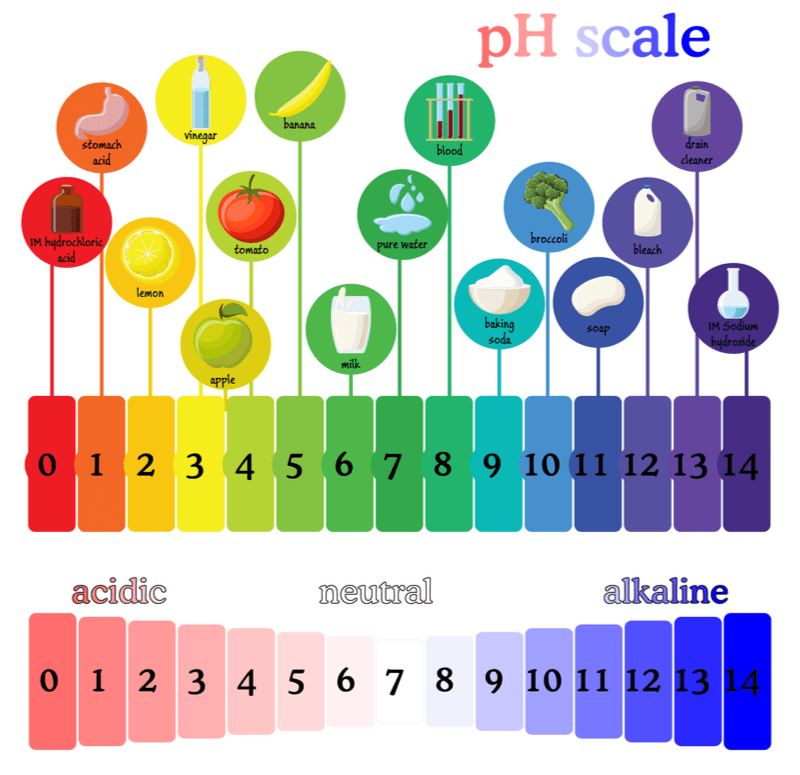 Illustratie van de pH-schaal met verschillende soorten voedsel en stoffen om te illustreren waarom je een appelciderazijn haarspoeling nodig hebt.
