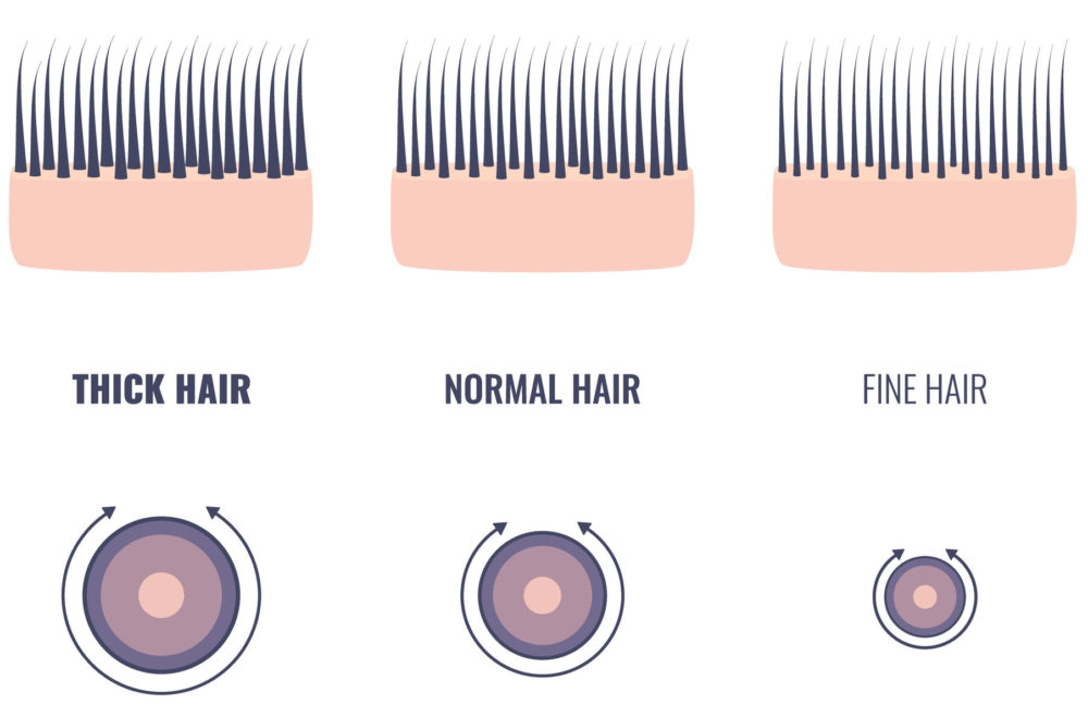 Voor een stuk over de dikte van menselijk haar, een illustratie die laat zien hoe dik verschillende soorten haar zijn