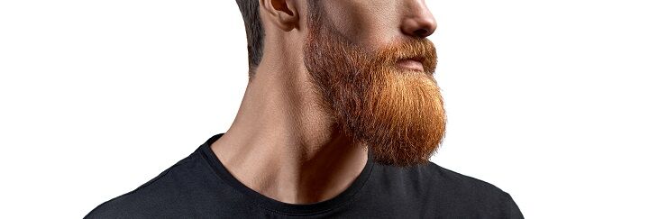 Man met perfect gevormde rode baard