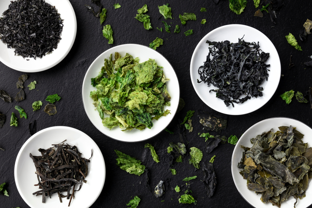 Is Seaweed Good for Your Hair?