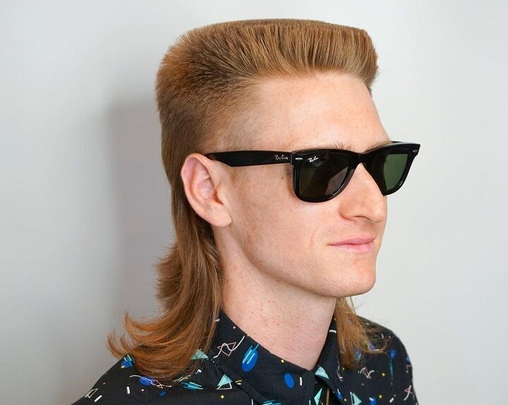 Uitgegroeide Mullet