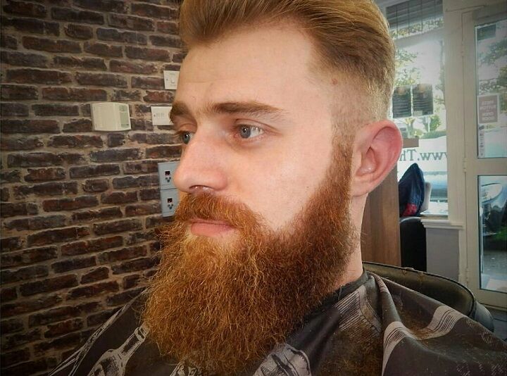 Ginger Bushy Beard