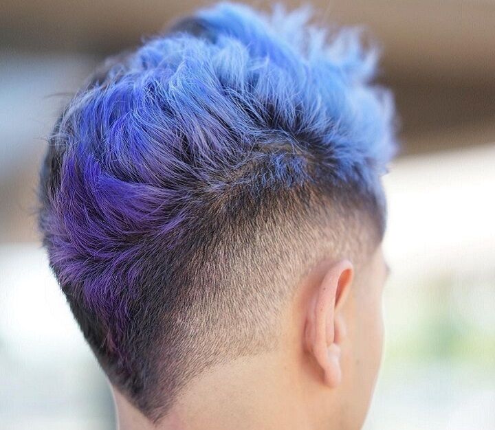 Blue Mullet