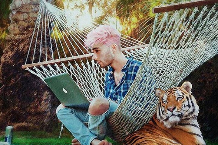 Zayn Malik met roze haar die een laptop vasthoudt