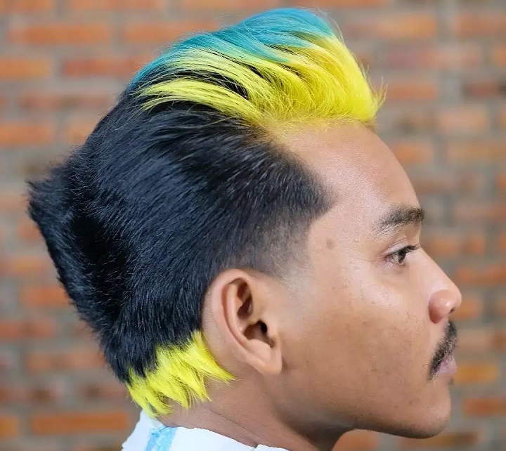 Tweekleurige Ducktail