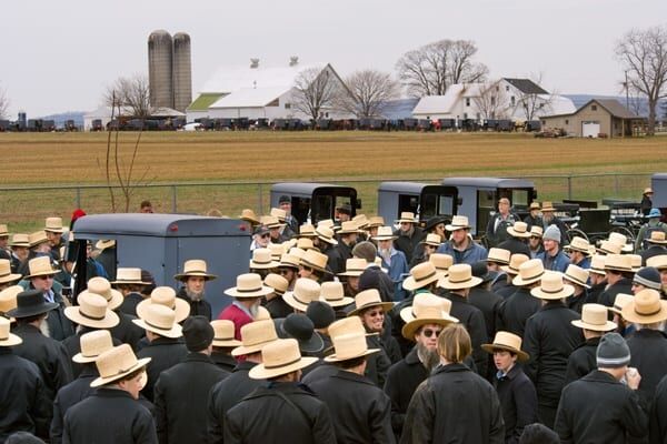 Geschiedenis van de Amish Baard